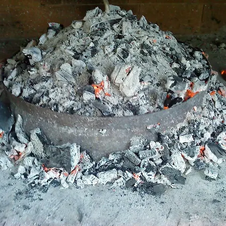 Mendula *