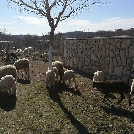 Mendula * Slivnica